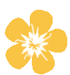 163653f3coi1cb112fmtnq.gif