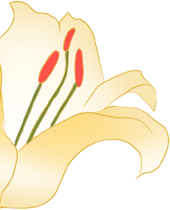 111001s8syywnz2erf2y8o.png
