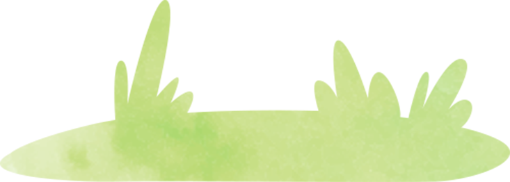 100214y28szshhhany0in4.png