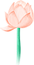 105436grkzkb433dgzj5b3.png