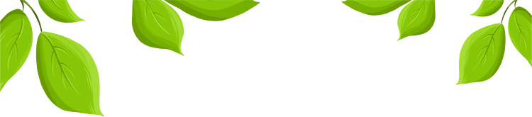 153322jp4e13a181eg5x55.png
