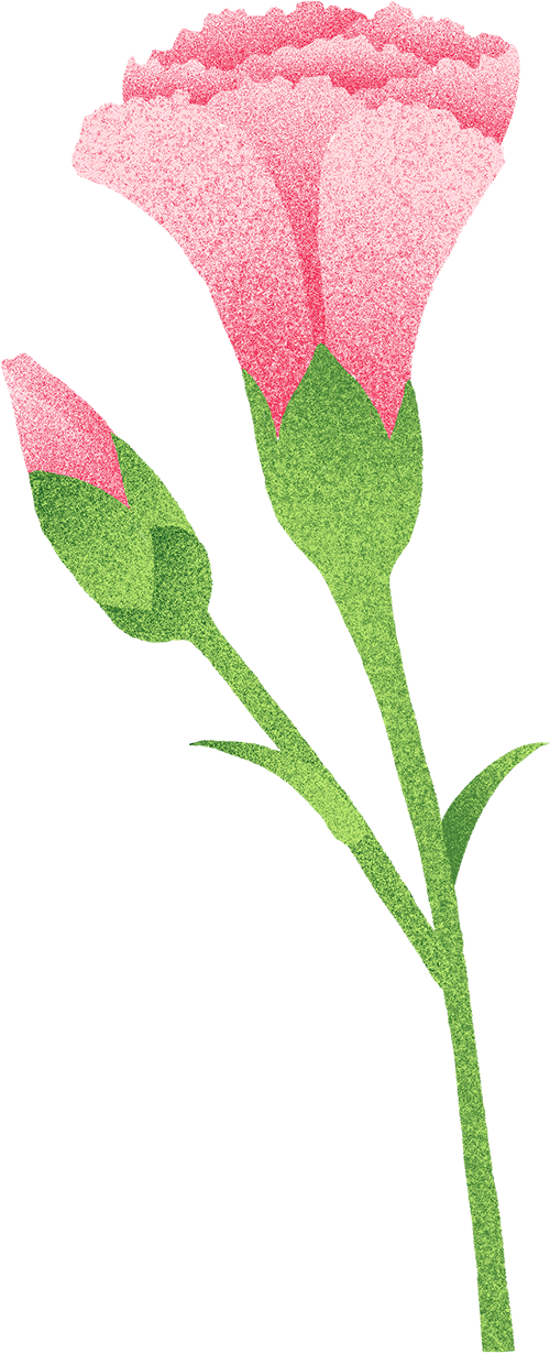155902j7ossd44zy4dbcyf.png