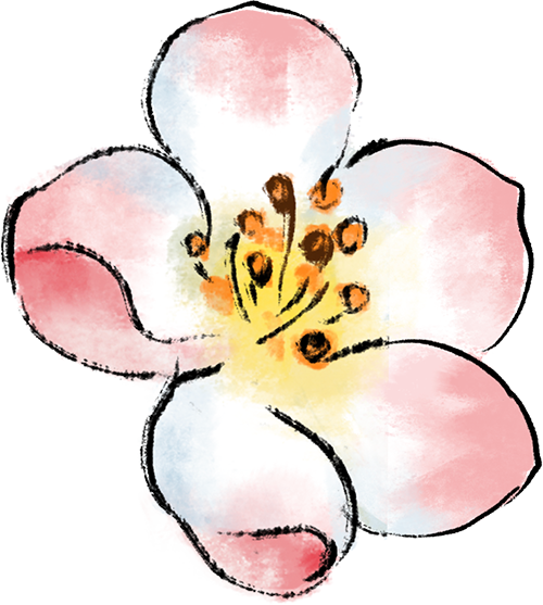 155905fhk2kxt8ut8xhtu3.png