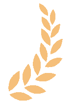 175615pjj0zjgjljqlidvt.gif