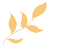 100248zxz7r8xi2x0ot20r.gif