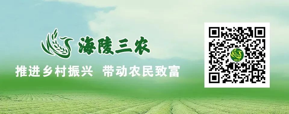 173130y8sr4s8qmr8771sy.jpeg