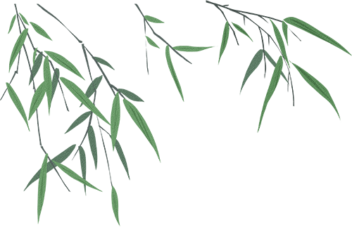 174647g6zhfbfgubhnf067.png