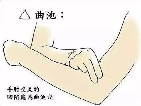 173708bbp6bf26ppop1ppn.jpg