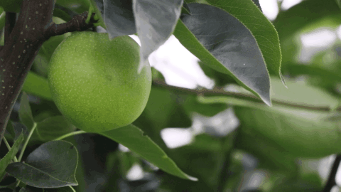162435g1aozc91gv205ouk.gif