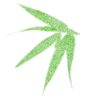 104625bmdrne5rzdujo0er.png