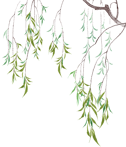 104630jssdy9hcd4y9csaz.gif