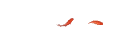 101039r6hnfgzq60wfnwgy.gif