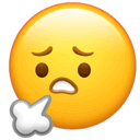 180050firib7zz43w7f338.png