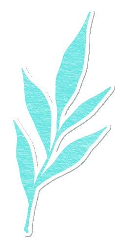 65a83fa632ea2e61f360aa8d25de8d1f.gif