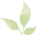 091200a57kkjjjlj257221.png