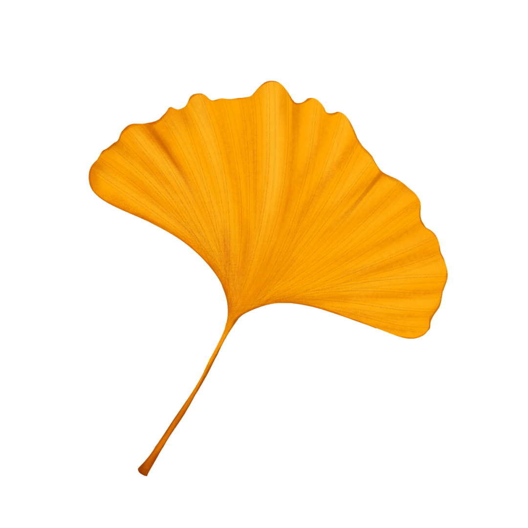 db387e83e4bb3cac18c2251434a1818d.png
