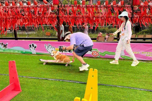 78cba905832fb01f2c66e795e298a13c.gif