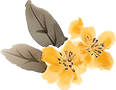 085034ips0vueev33vjhv3.png