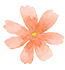 085148llud8lj99fedfq5e.png