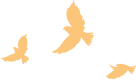 085247m5b5m3b3ssapbe55.png
