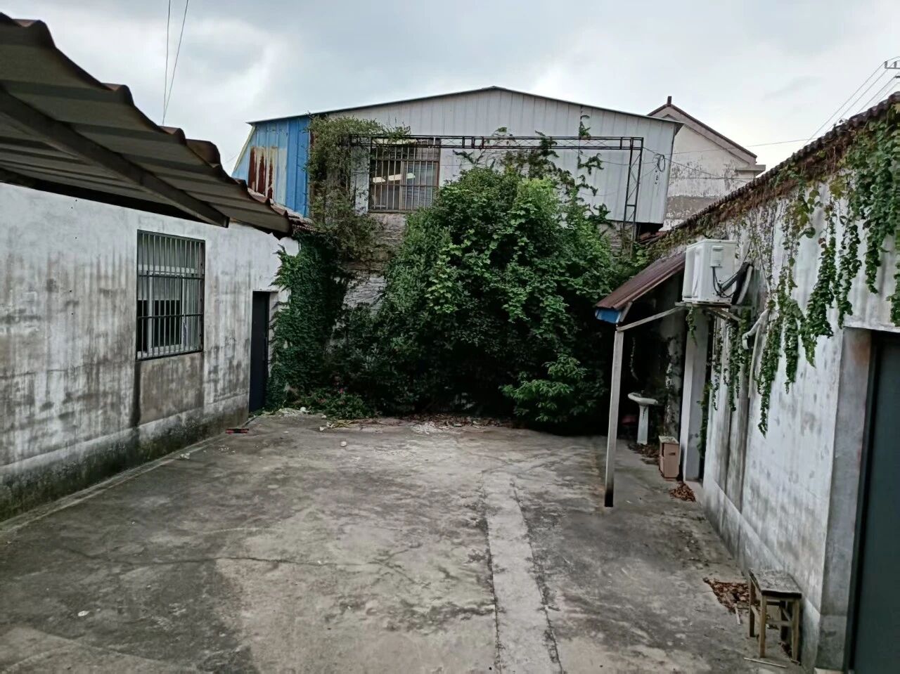 090512lkk2ctpn3kuzpekc.jpeg