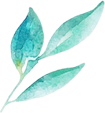 6d513ec47c31f85c4e7080603387d371.png