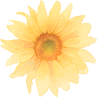 7883465a3b459a0a3f80eba849aa5896.png