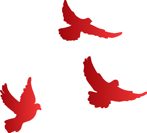 a6fc288092da894dd50fafa286ccf977.png