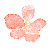 b656f4e90dfee21020a152276e299d4d.gif