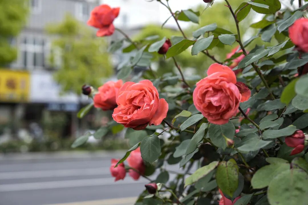 58fa135508fef7107f4be3aeb51b6520.jpeg