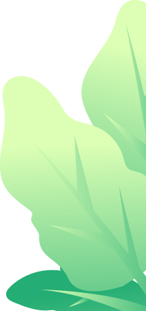 e99199e923fe5b21a4805fad63d22713.png