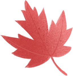 eddbf1697046d21522d3a71adae4f1a8.png
