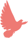 3b08e2c3582450ba8ab469e32ff2081b.png