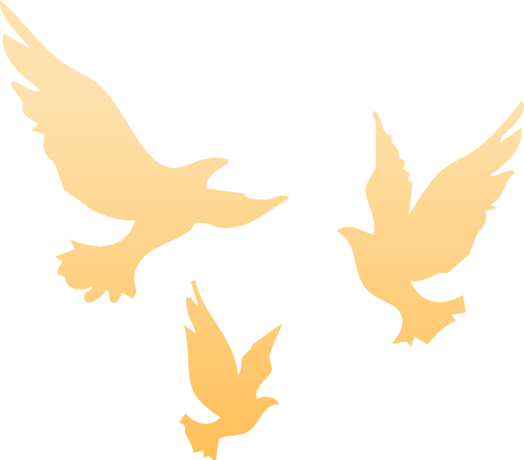 53a3d9c592e892e6a452194345c74487.png