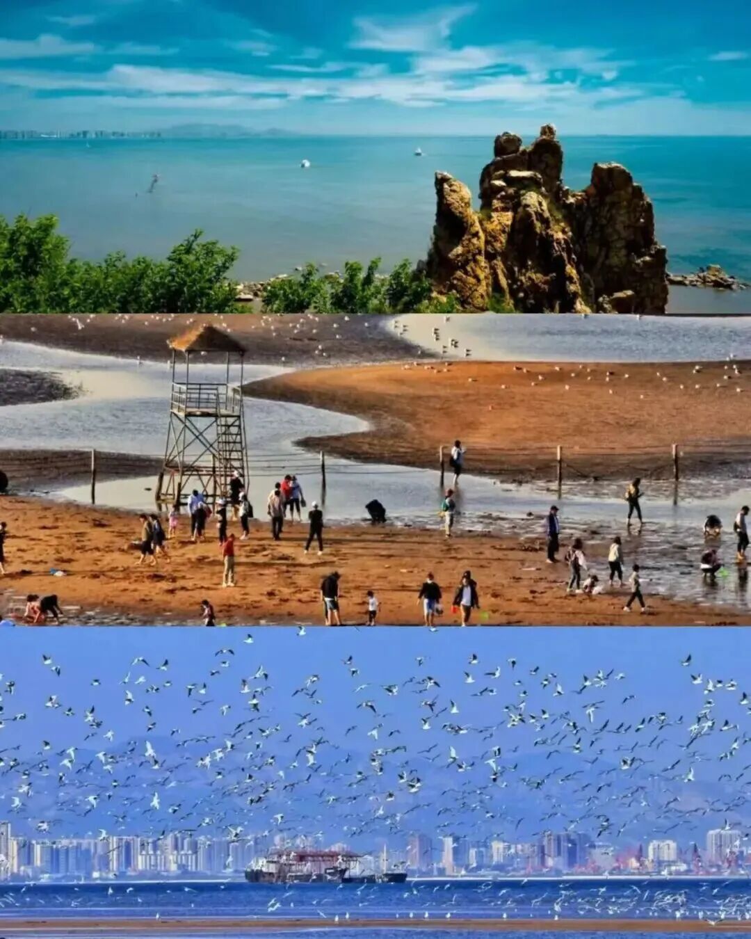 d0d980701ac846449d3f4f68ad348a56.jpeg