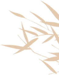 2f2675a79c6099e763ae8236aaf74610.jpg