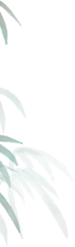 b8a426aada0e86091739849b5cb0bd8d.jpg