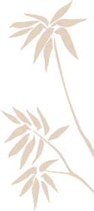 cde5ea6803cac1af73763887d63584f3.jpg