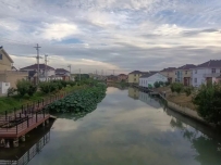 【红海聚力 首善海陵】海陵区西冯村：河长制多彩漫步道 绘就美丽乡村新画卷